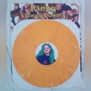 📀 RARE Pangea Living Dummy Vinyl 🌎